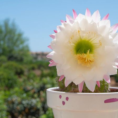 Casa Aromas - Casa Rural Exclusiva Cerca De La Playa - By Marina Alta Holidays 德尼亚 外观 照片