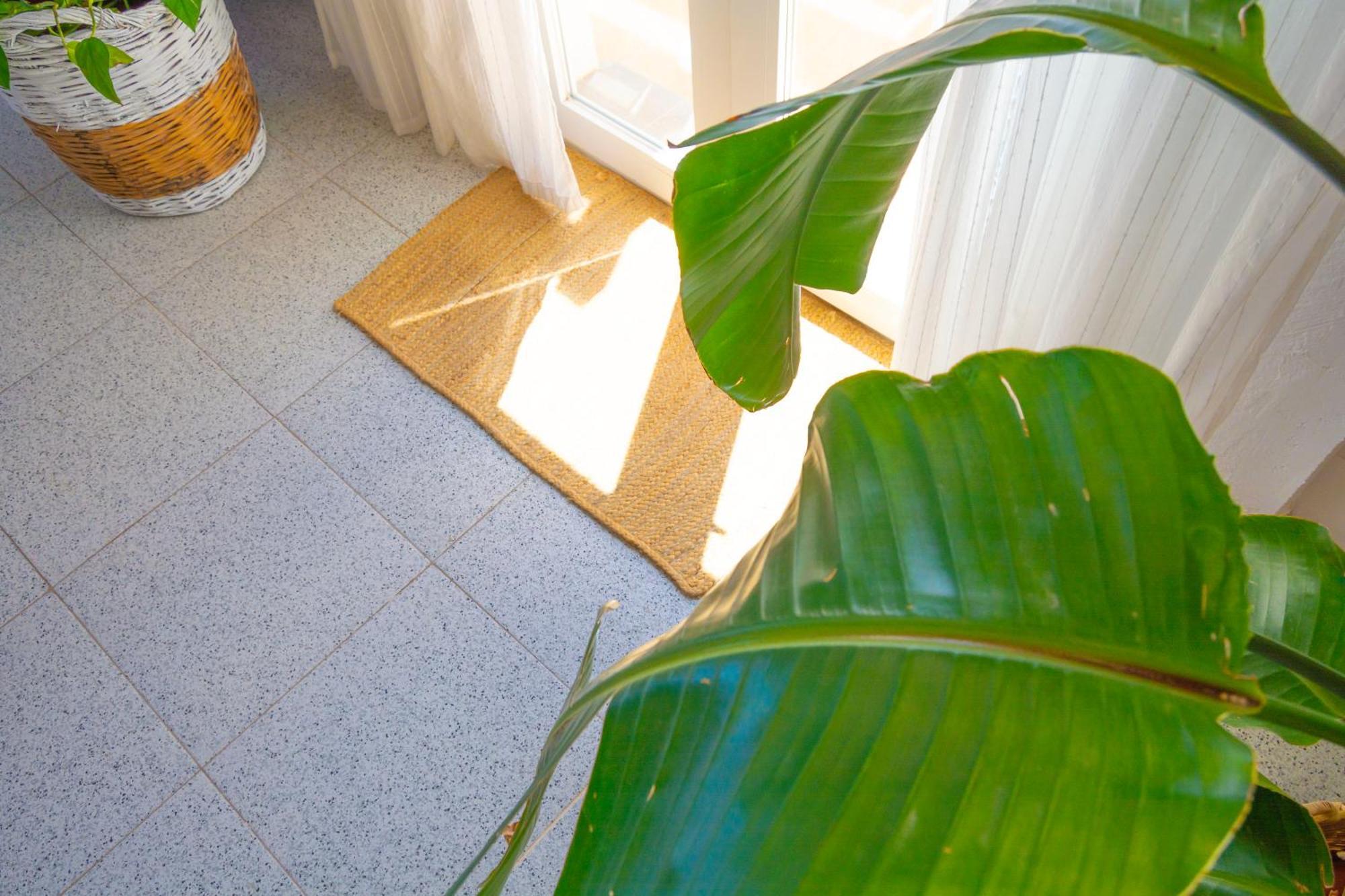 Casa Aromas - Casa Rural Exclusiva Cerca De La Playa - By Marina Alta Holidays 德尼亚 外观 照片